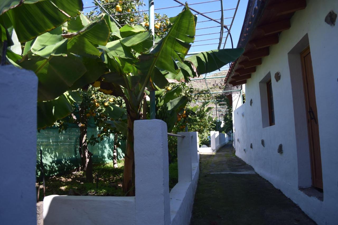 Appartement Casa Camino Tamadaba à Agaete  Extérieur photo